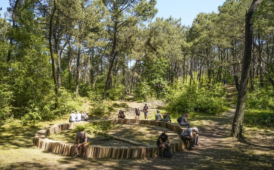 Op een open plek in het bos zitten verschillende mensen op een kring van boomstammen tijdens Expeditievoorstelling How Forests Think van Elmo Vermijs op Oerol 2023.