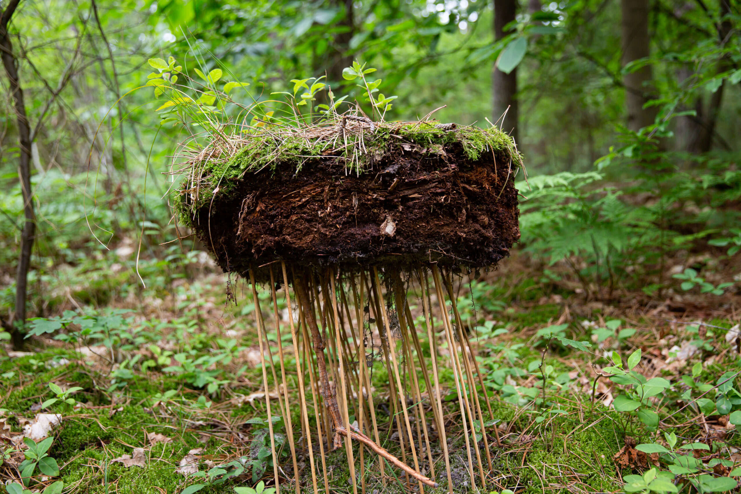Een kluit aarde op bamboestokjes, een installatie tijdens de atelierroute van Oerol in 2019.