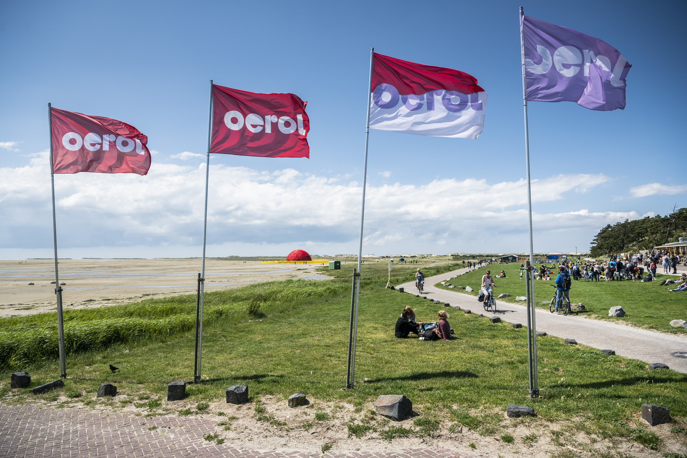 Vier Oerol vlaggen wapperen bij het groene strand van Terschelling met uitzicht over natuurgebied de Noordsvaarder