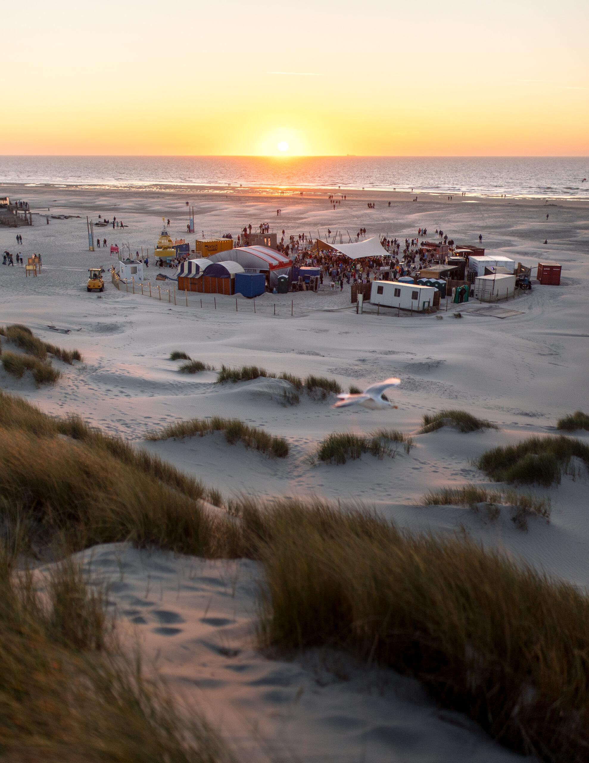 Oerol Festival on Terschelling reflects with contentment on the 42nd edition