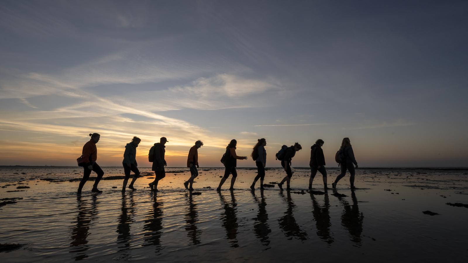 Vriendenactie | Een dankbare brief aan de Waddenzee