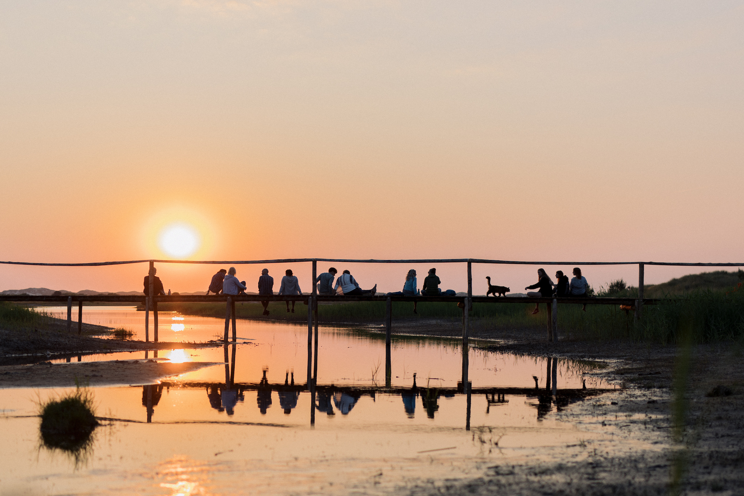 Oerol genomineerd voor de Duurzame Dertig met project Verduurzaming Evenementen Terschelling