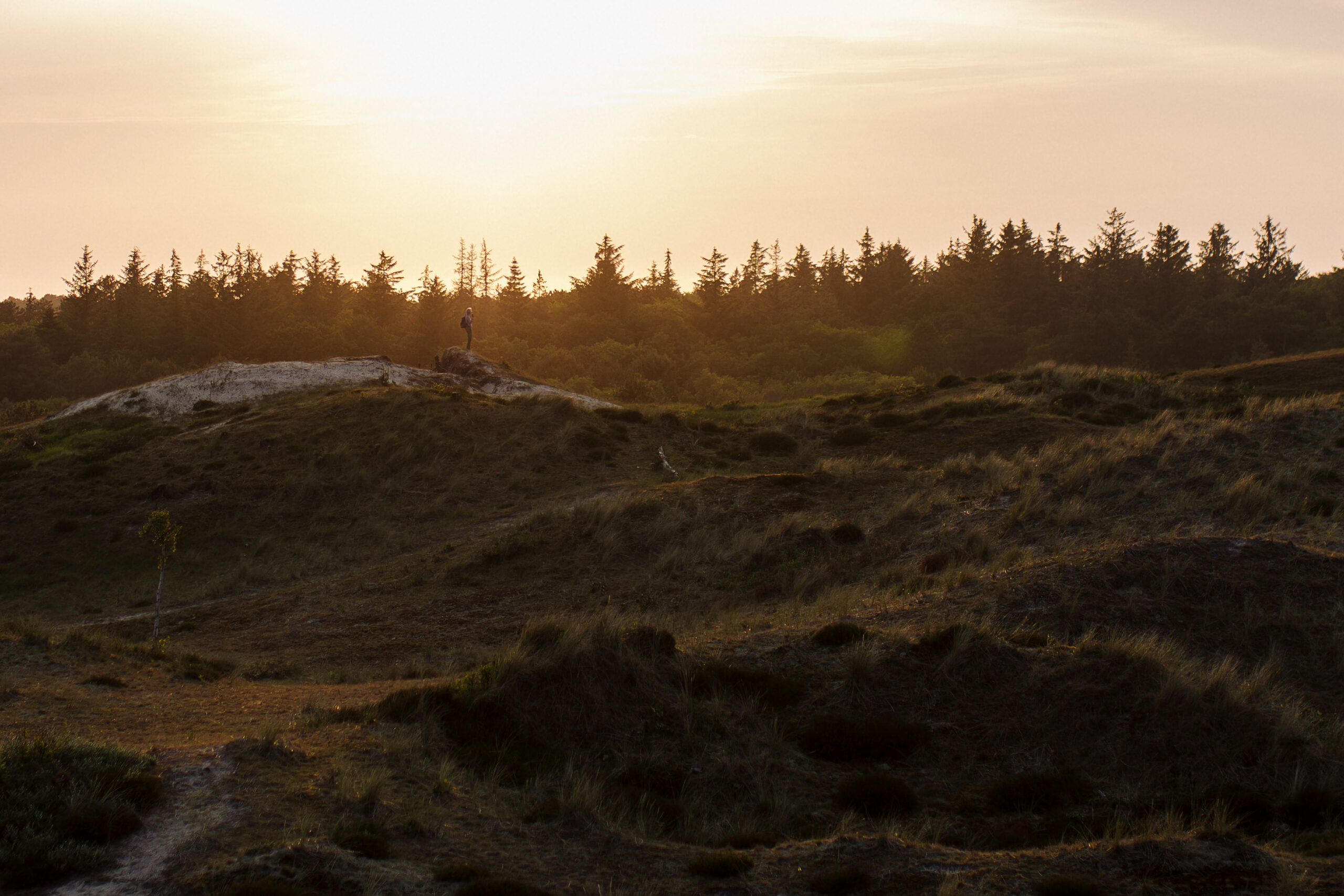 Arjensdune: waar de wind het woord voert