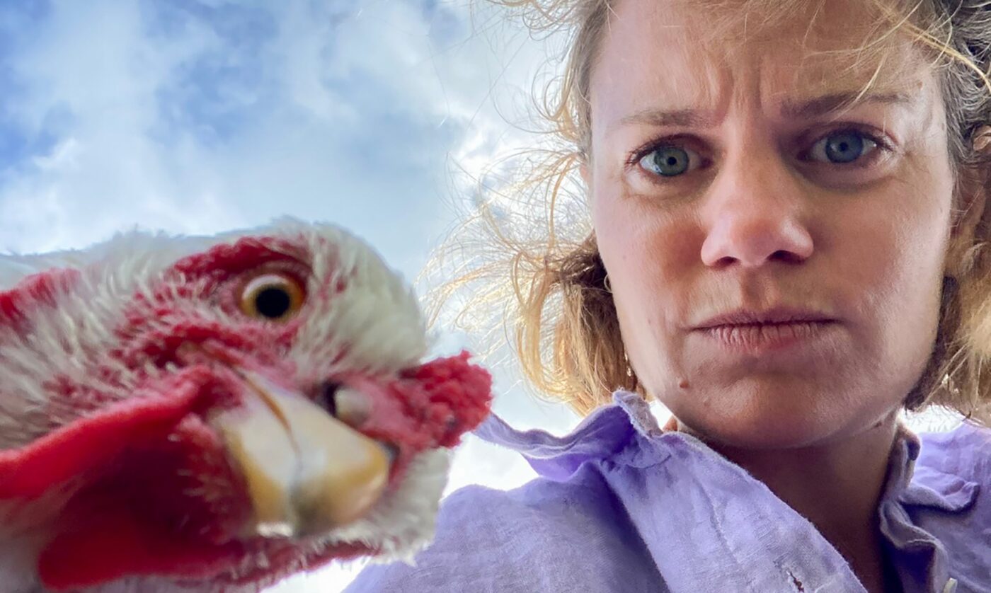 Chicks in Dialogue