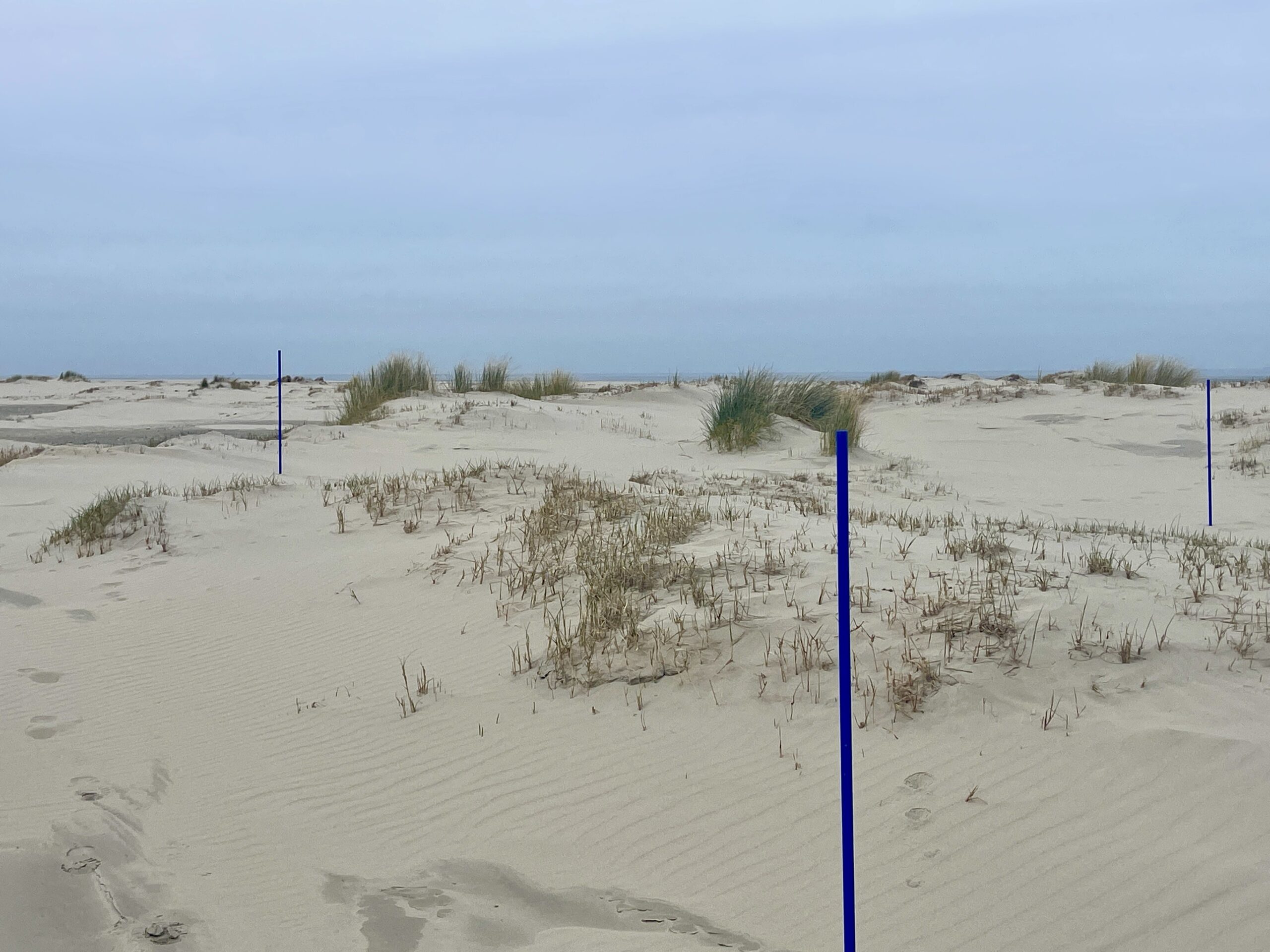 Vriendenactie | Oerol x Waddenvereniging – Valerie van Leersum