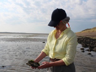Vloedgesprek: Veranderende zeeën