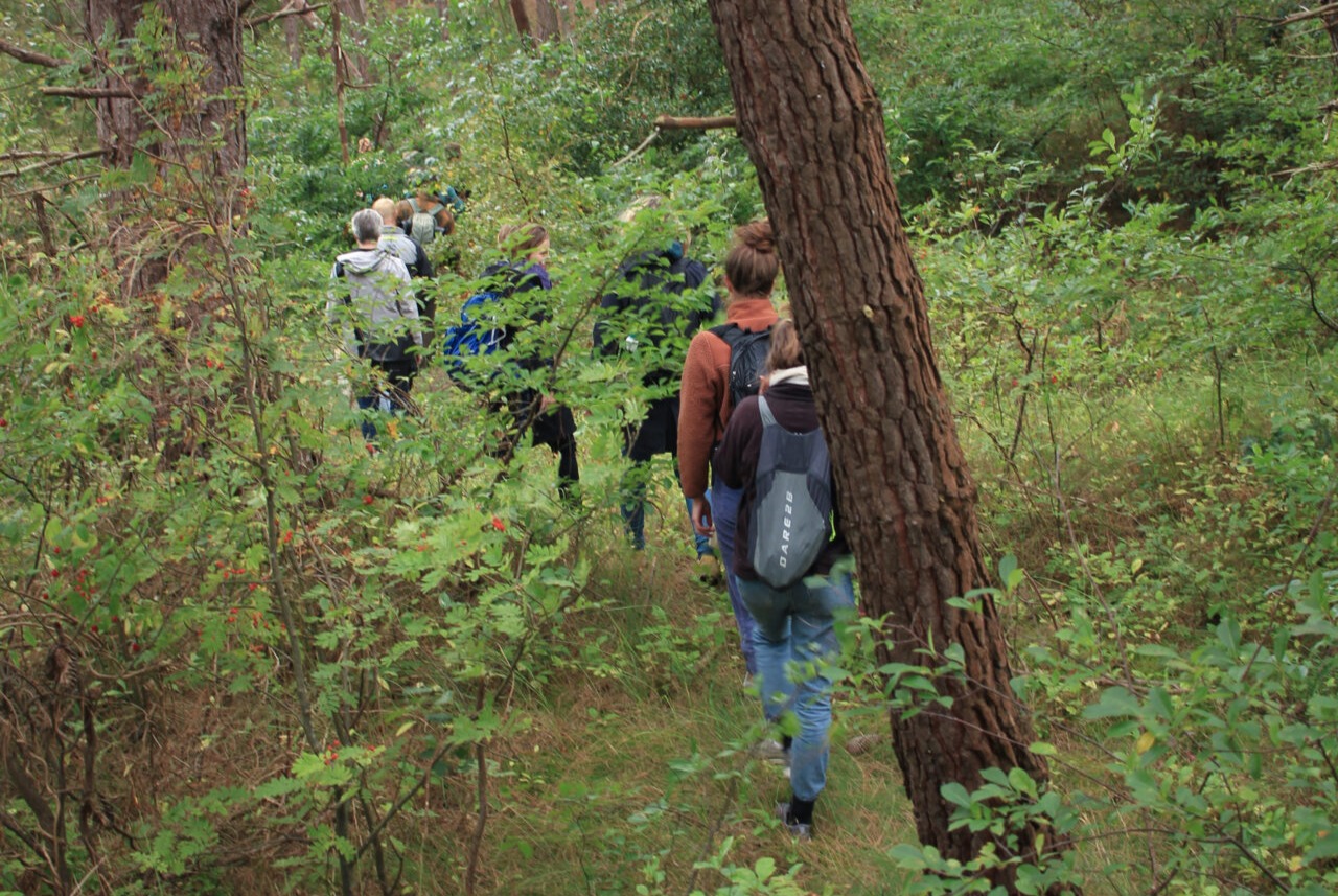 Vriendenactie | Onderzoek het bos