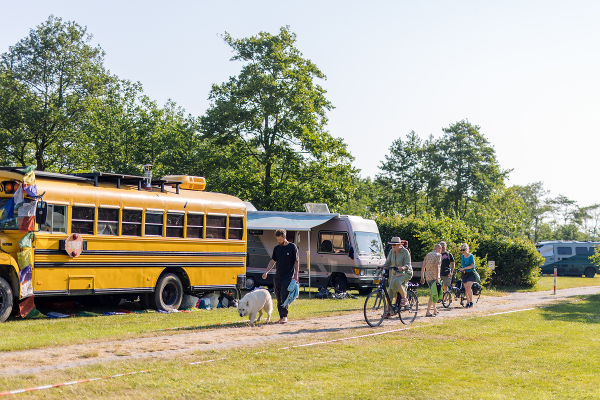 Extra avondbussen in de weekenden