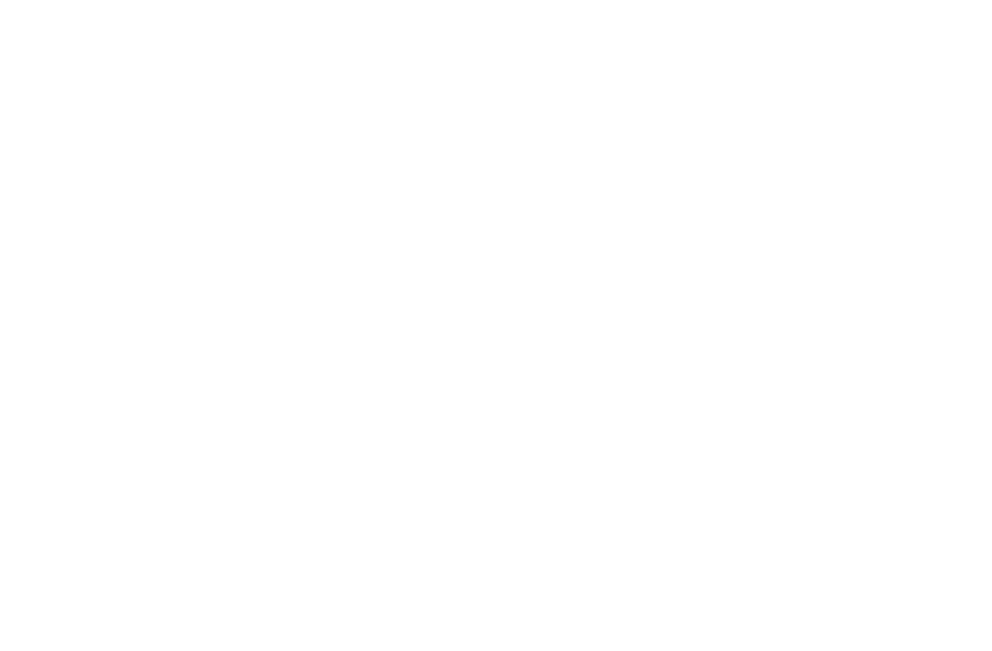 Iepen Mienskipsfûns
